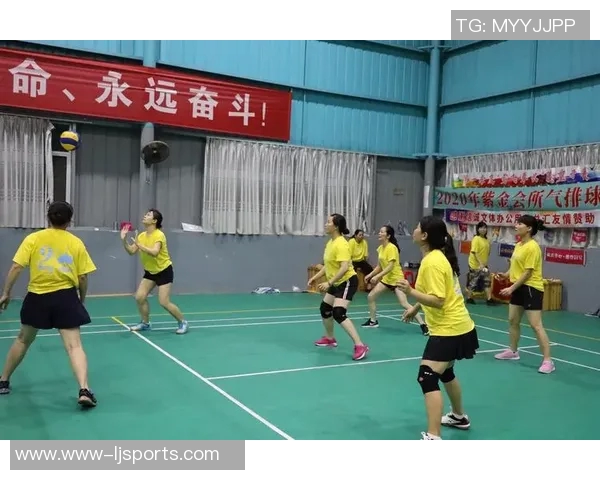 北京排球队的奋斗与荣耀：一段排球突破历程的真实记录