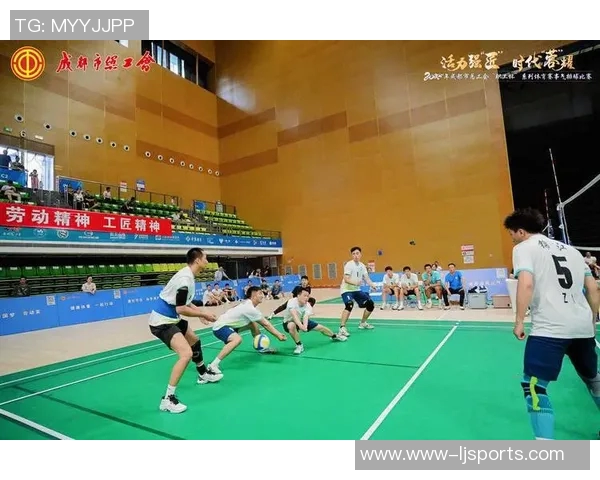 成都排球队转型之路的挑战与机遇探索杯赛特别报道 成都排球队转型之路的挑战与机遇探索杯赛特别报道