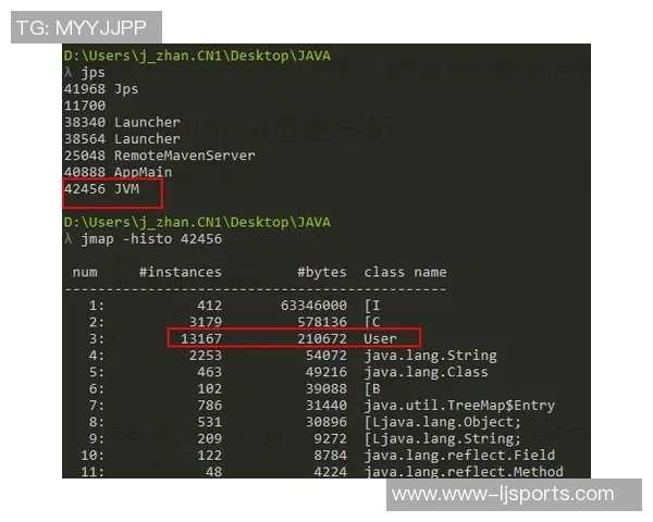 体育实时数据深入分析武汉羽毛球队的快速转换战术及其战术优势